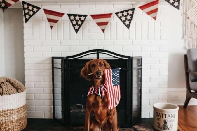 NaturoPet Natural Pet Products - Top 5 Reasons To Buy Made In The USA