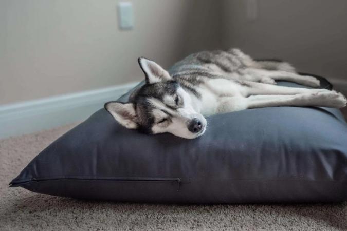 Types of Natural Materials in our Pet Beds