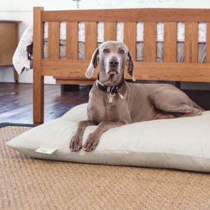 NaturoPet - Organic Cotton Replacement Covers and Pet Beds