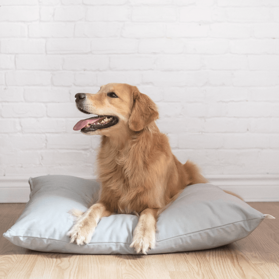 NaturoPet Pet Products - Organic Dog and Cat Beds