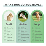 Organic Cotton & Virgin Wool Dog Bed