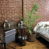 Organic Cotton Replacement Cover