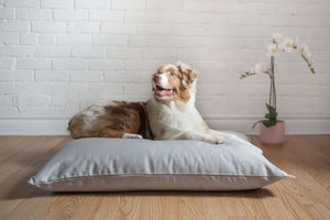 NaturoPet Pet Bed Replacement Cover -  Organic Cotton
