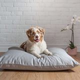 Organic Cotton & Virgin Wool Dog Bed