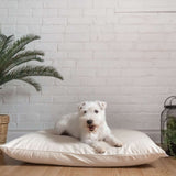 Organic Cotton & Virgin Wool Dog Bed