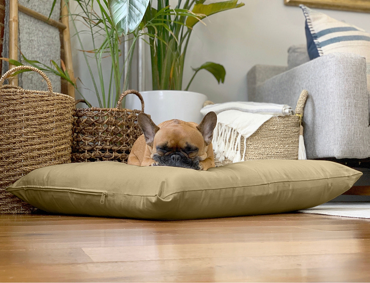 Organic Cotton & Virgin Wool Dog Bed