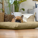 Organic Cotton & Virgin Wool Dog Bed