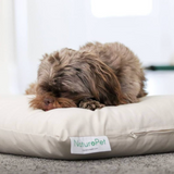 Organic Cotton Replacement Cover